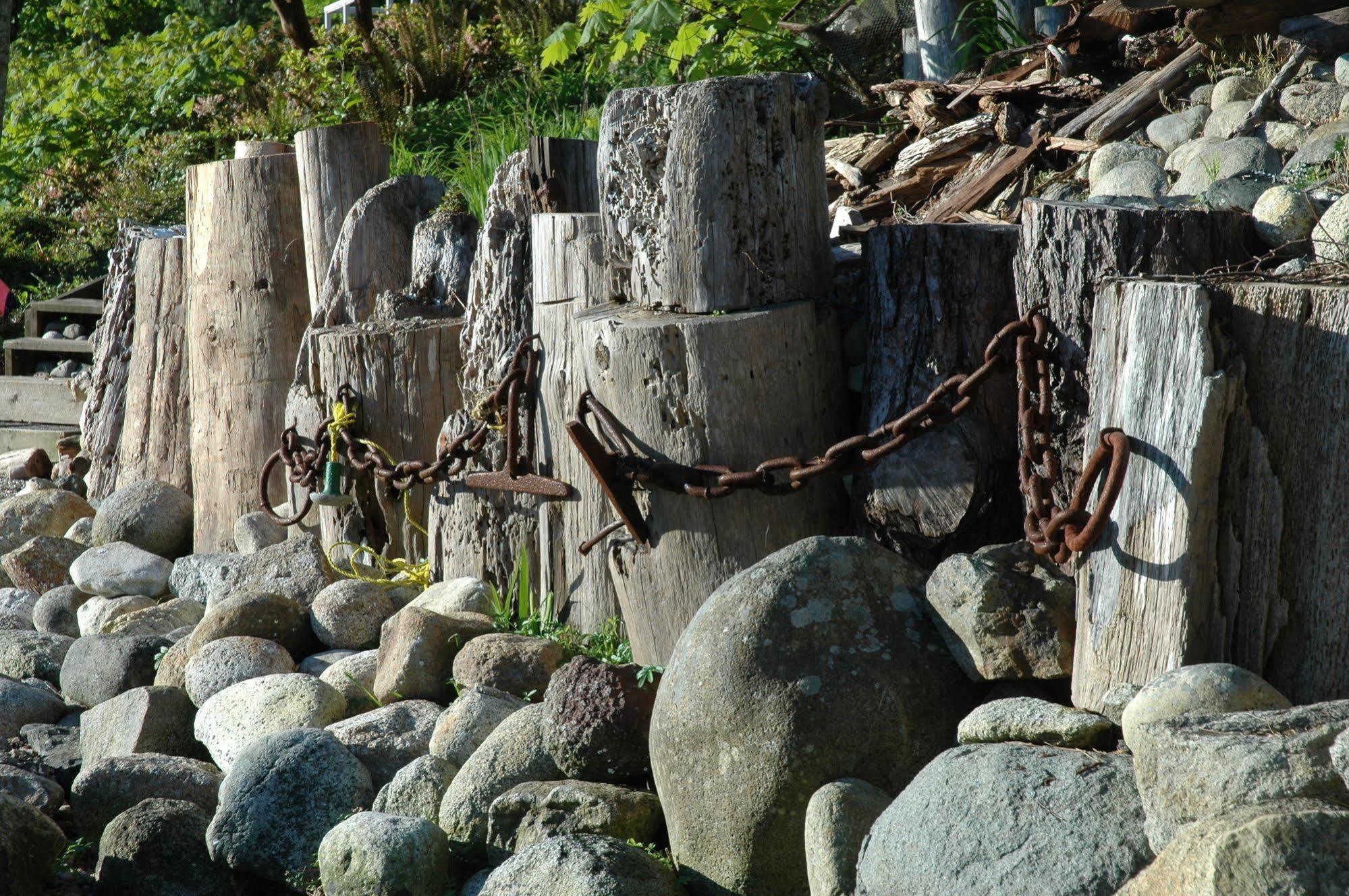 At The Shore Bed And Breakfast Sechelt Eksteriør billede